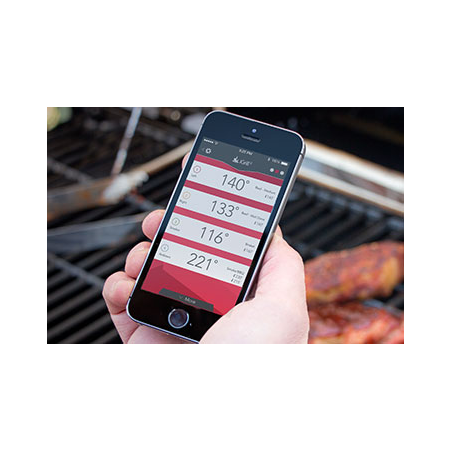 Termometro iGrill 2