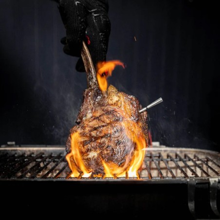 MEATER 2 Plus - grillerchef.it