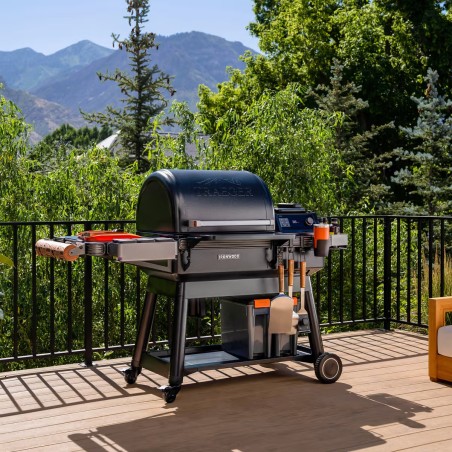 TRAEGER IRONWOOD INT - grillerchef.it
