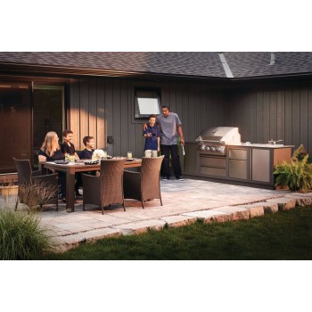 Napoleon Barbecue BI32 serie 500